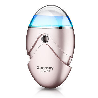 Goodsky Facial Mini Handheld Mist Nano Sprayer